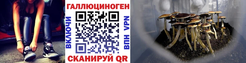 Псилоцибиновые грибы Psilocybe  Малмыж 